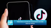 Fakenews zu Israel: EU-Kommissar schreibt Brief an TikTok