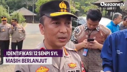 12 Senpi Temuan di Rumah Dinas SYL, Belum Satupun Teridentifikasi