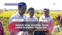 Tanggapan Jokowi Soal Syahrul Yasin Limpo Dijemput Paksa oleh KPK