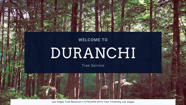 Tree Service Las Vegas | Las Vegas Tree Removal