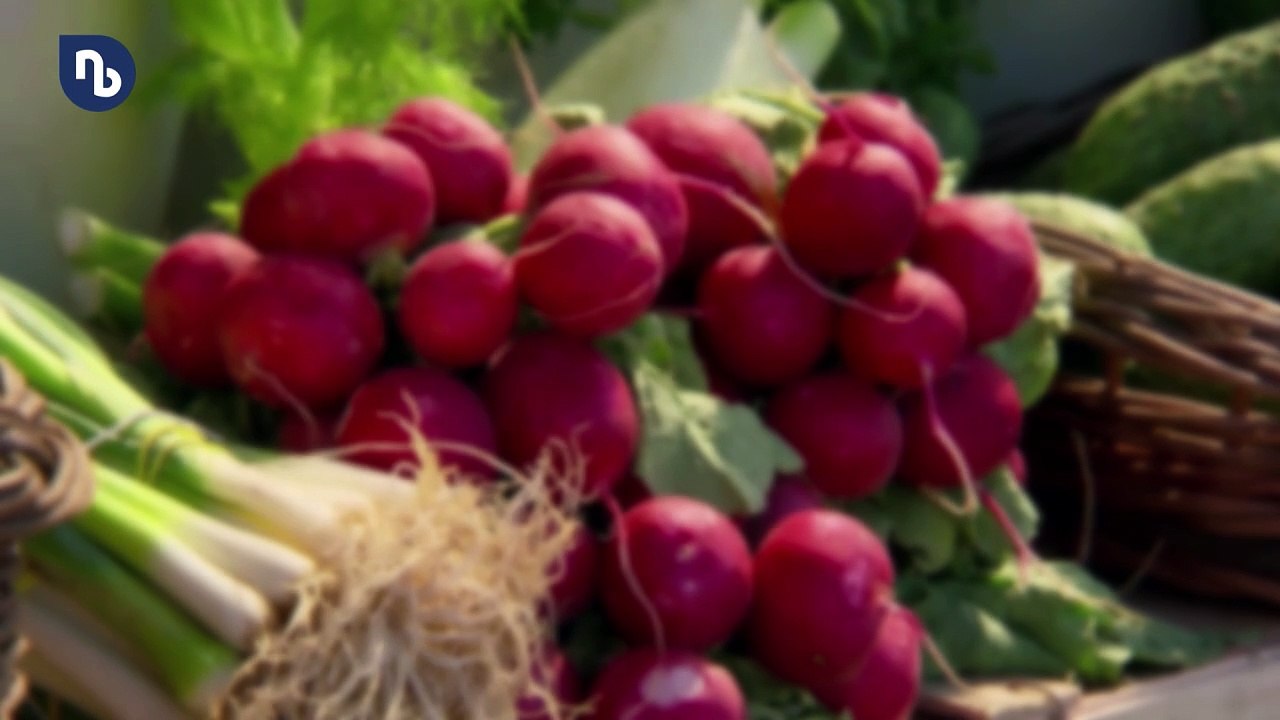 Gemüse auf dem Balkon: Was jetzt noch für den Winter wächst