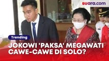Jokowi Terungkap 'Paksa' Megawati Cawe-cawe di Solo, Gibran Santai: Kalau Tidak Dipilih Rakyat, Percuma