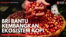 BRI Bantu Kembangkan Ekosistem Kopi