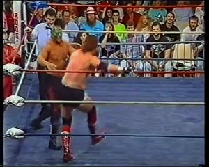 Mean Mark vs. Road Warrior Animal