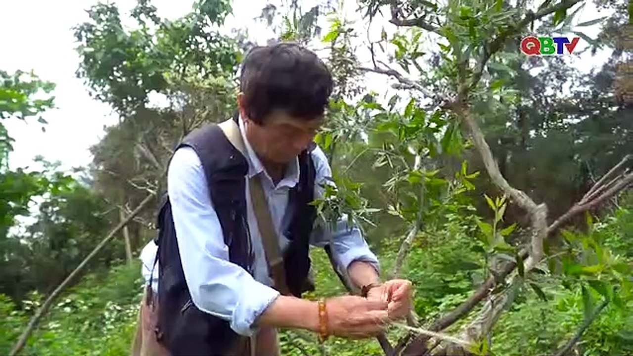 Lan tỏa tâm nguyện của Đại tướng Võ Nguyên Giáp