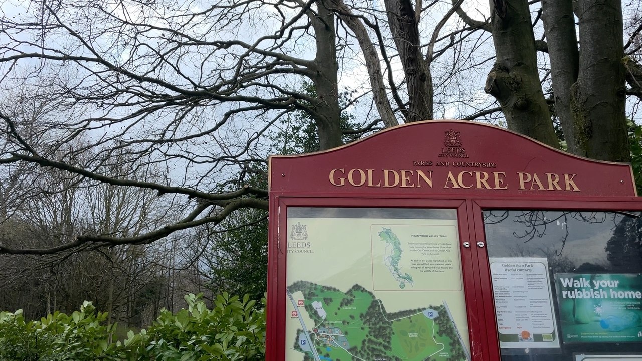 Leeds headlines 13 October: Leeds car park parking charges plans resurrected