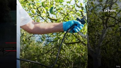 Vote sur le glyphosate dans l'UE : la France et l’Allemagne vont s’abstenir