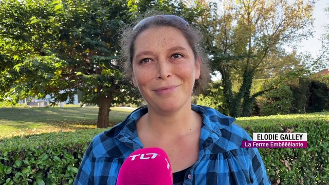 Des animaux de la ferme à l'Ehpad