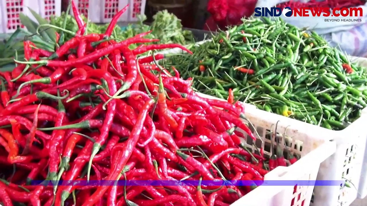 Minim Pasokan di Mandailing Natal, Harga Cabai Melonjak