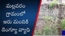 నంద్యాల జిల్లా: డెంగ్యూ కలకలం... ఓకే కుటుంబంలో..