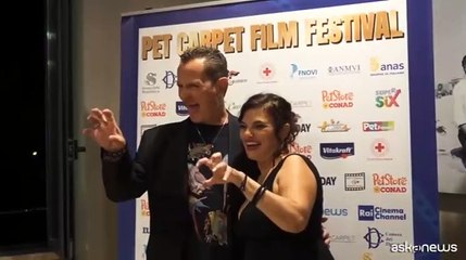 Pet Carpet Film Festival: ha vinto la solidariet?