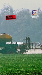 Retour du glyphosate pour 10 ans : pas d’accord trouvé MAIS…
