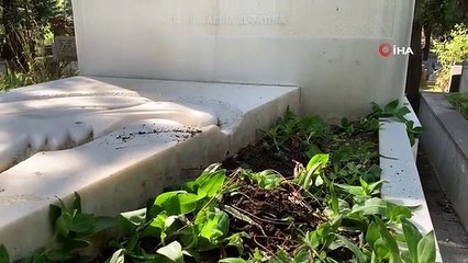 Des chiens errants ont causé des dégâts au cimetière de Feriköy