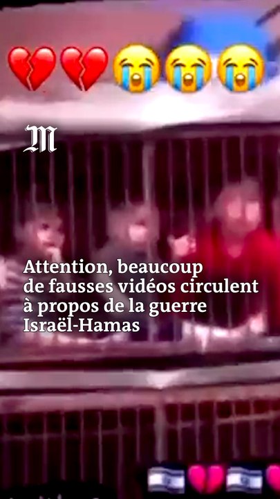 Guerre Israël-Hamas : ces vidéos sont fausses