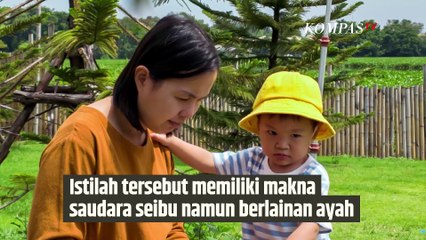 Ada Saudara Anjing dalam Hubungan Keluarga, Ini Penjelasan Ahli | SINAU