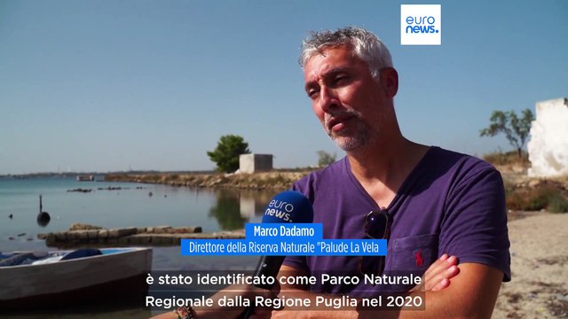Mar Piccolo, un tesoro di biodiversità a rischio e un'opportunità per Taranto