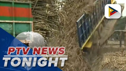 SRA to continue to provide assistance to farmers amid continuous drop in farmgate prices of sugar