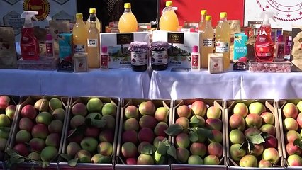 Amasya'da Elma İçin Özel Projeler Geliştirilecek