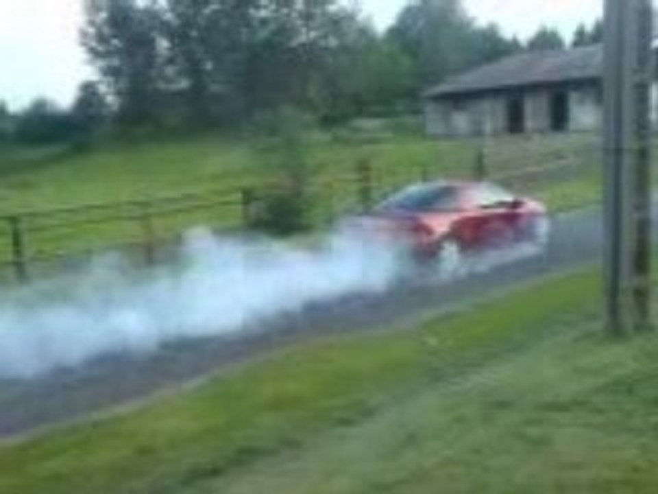 tigra en folie 2