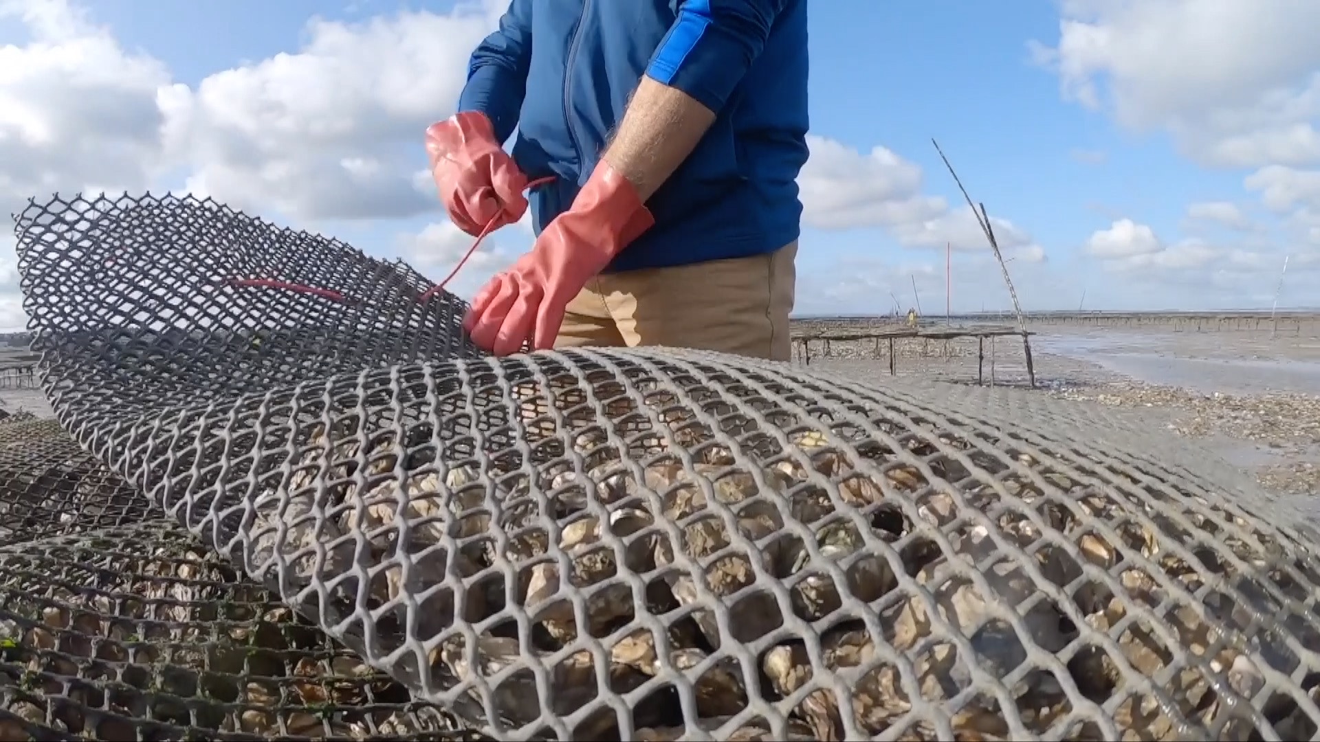 Kent Tonight Special Has Whistable's reputation been eroded by sewage