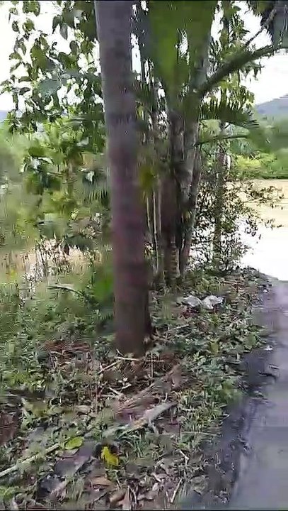 Morador mostra posto de saúde coberto de água em terra indígena de SC