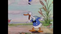 Walt Disney Treasures Silly Symphonies SpongicX Reviews Part 1