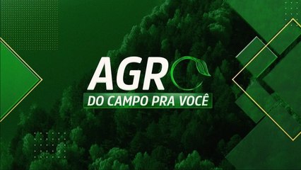 Download Video: DIA DA ALIMENTAÇÃO: USO SUSTENTÁVEL DA ÁGUA PARA ALIMENTOS | AGRO: DO CAMPO PRA VOCÊ - 15/10/2023