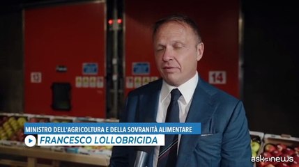 Celle ipogee di Melinda, Lollobrigida: modello di sostenibilit?