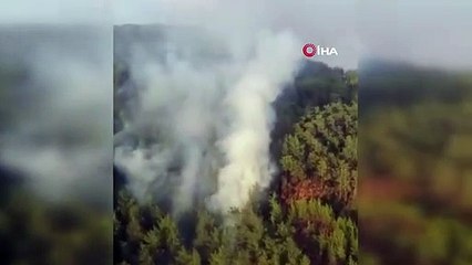 Deuxième incendie de forêt éteint dans le quartier d'Otman à Muğla