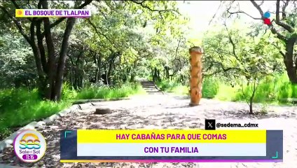 Todo lo que puedes hacer en el Bosque de Tlalpan