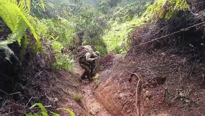 Every survival technique Army jungle soldiers learn in training