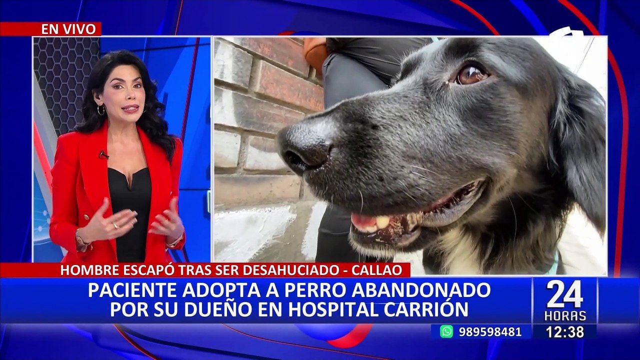 Paciente adopta a "firulais" abandonado por un paciente en el hospital Carrión