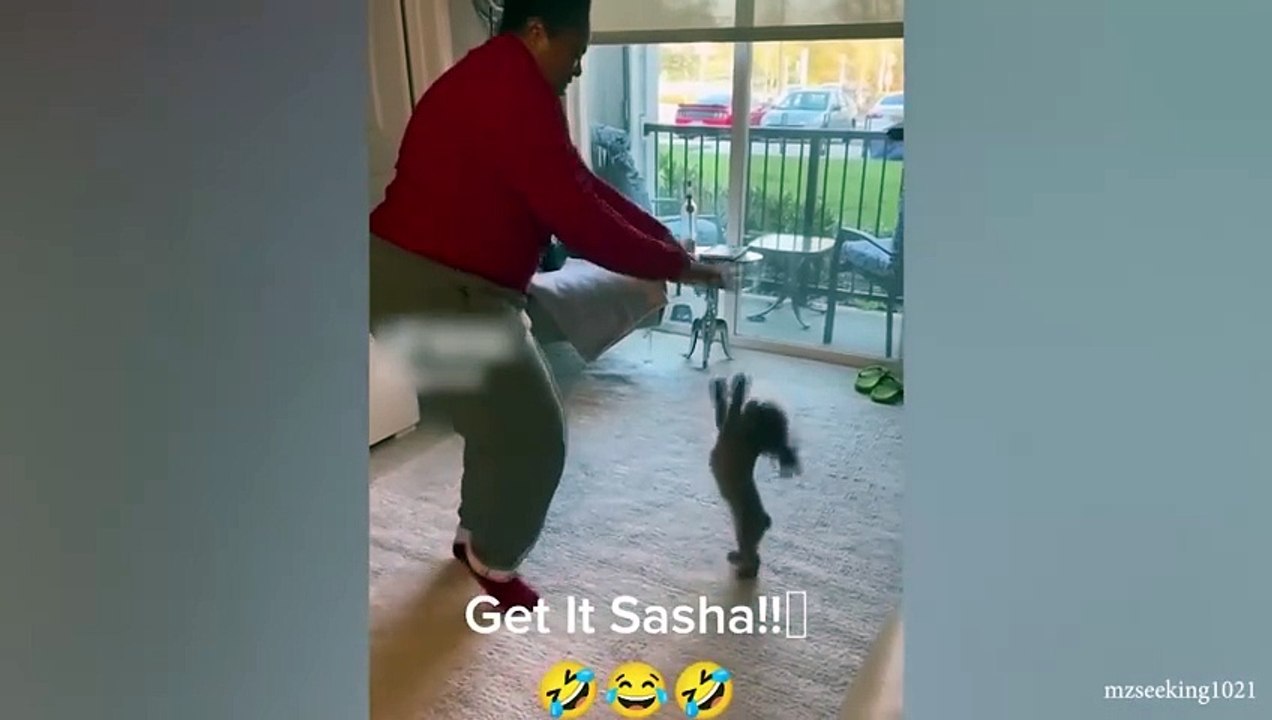 baby funny video 50
