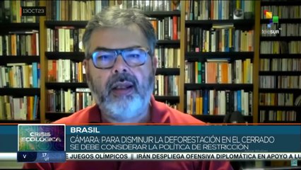 Disminución de un casi 59% destrucción de la selva amazónica