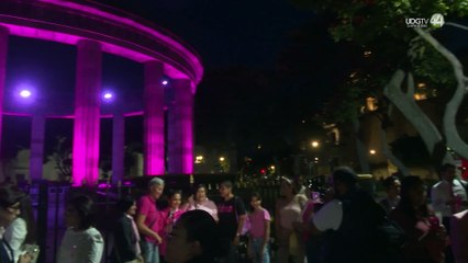 Obesidad o comenzar a menstruar muy joven son factores de riesgo para desarrollar cáncer de mama