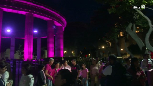 Obesidad o comenzar a menstruar muy joven son factores de riesgo para desarrollar cáncer de mama