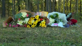 Safety report released after deadly wedding party bus crash in Hunter Valley