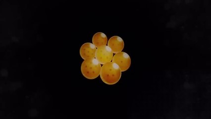 アニメシリーズ「ドラゴンボールDAIMA」 ティザー映像 _ 2024年秋 展開決定！