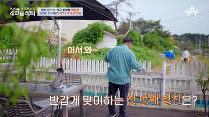 [#4인용식탁] 졸혼 1호 연예인 백일섭 아내 대신 강아지들과 즐기는 싱글 라이프