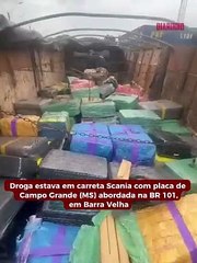 Polícia apreende R$ 15 milhões em maconha na BR 101