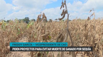 CAO pide proyectos para enfrentar la sequía
