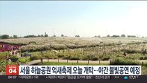 서울 하늘공원 억새축제 오늘 개막…야간 불빛공연 예정