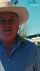 Barnaby Joyce: What am I voting?