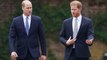 Charles and William 'resigned' attempts to reunite with Harry won't happen 'for some time'