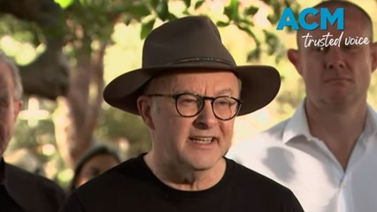 "We must do better": PM Albanese makes final plea to referendum voters