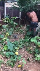 50 Bad Ideas, 50 Fails