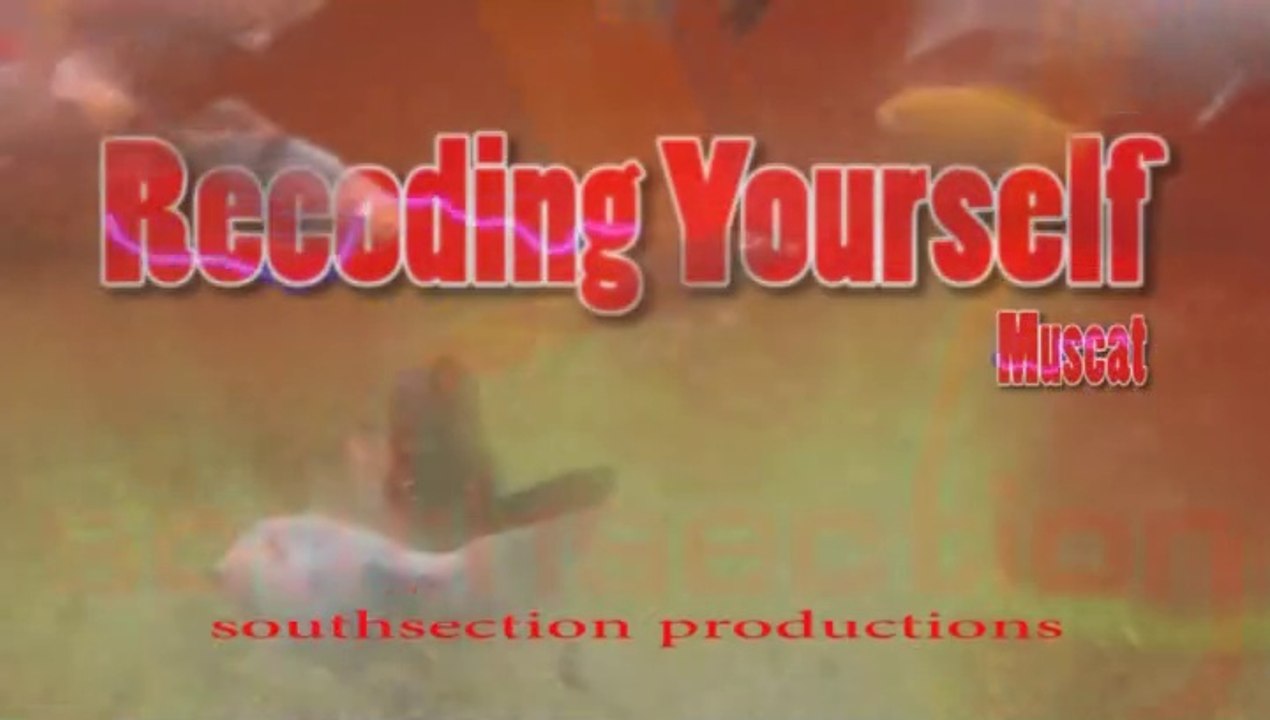 Recoding Yourself - Southsection