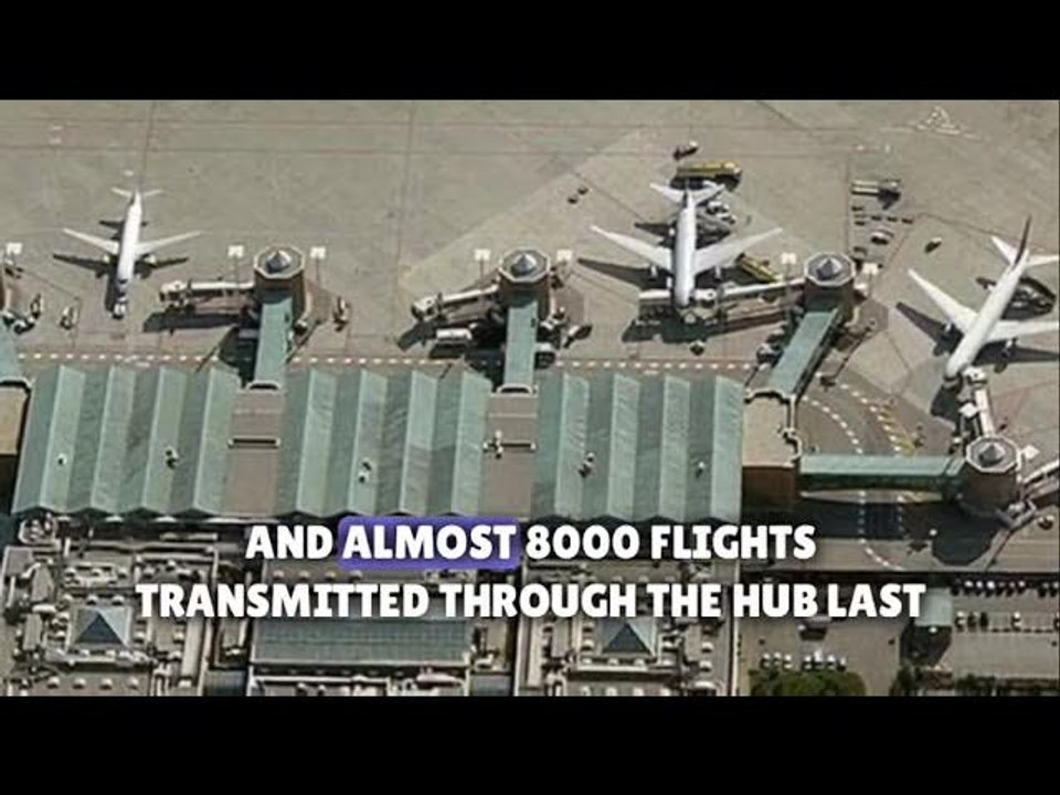 Venice airport closed, flights diverted by flock of seagulls