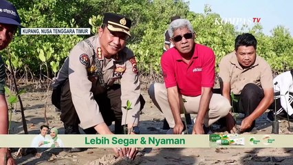 Jaga Lingkungan Sekaligus Peringati HUT ke-72 Humas Polri, Polda NTT Tanam Mangrove