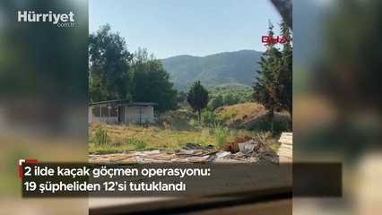 İstanbul ve İzmir'de kaçak göçmen operasyonu: 19 şüpheliden 12'si tutuklandı